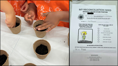 Image of hands planting seeds