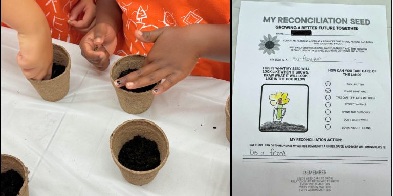 Image of hands planting seeds